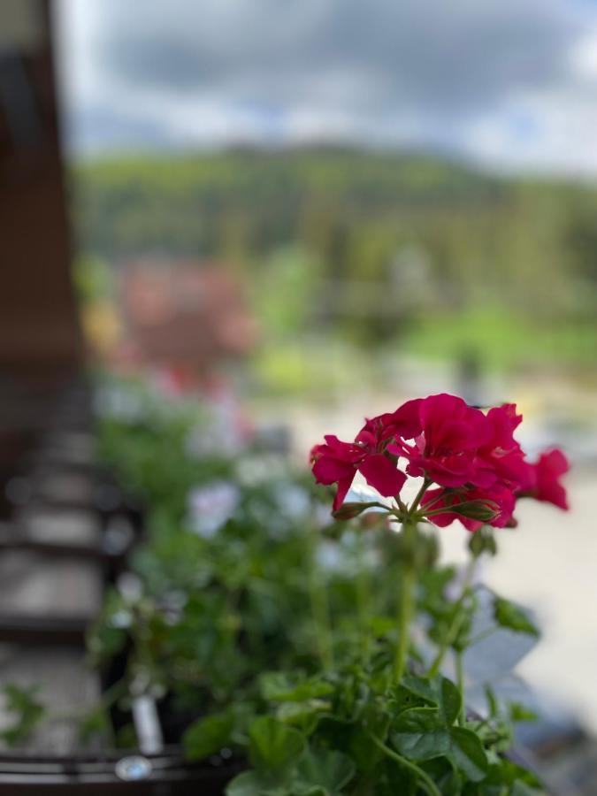 Hotel Nosal Ski & Wine Zakopane Exterior photo