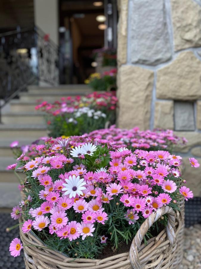 Hotel Nosal Ski & Wine Zakopane Exterior photo
