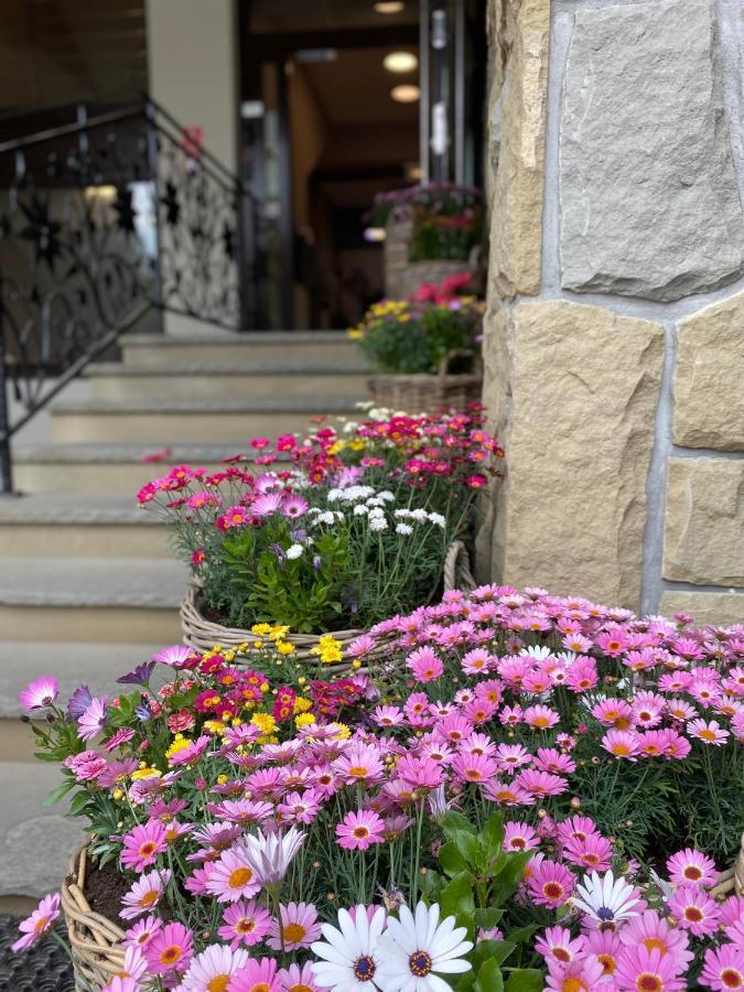 Hotel Nosal Ski & Wine Zakopane Exterior photo