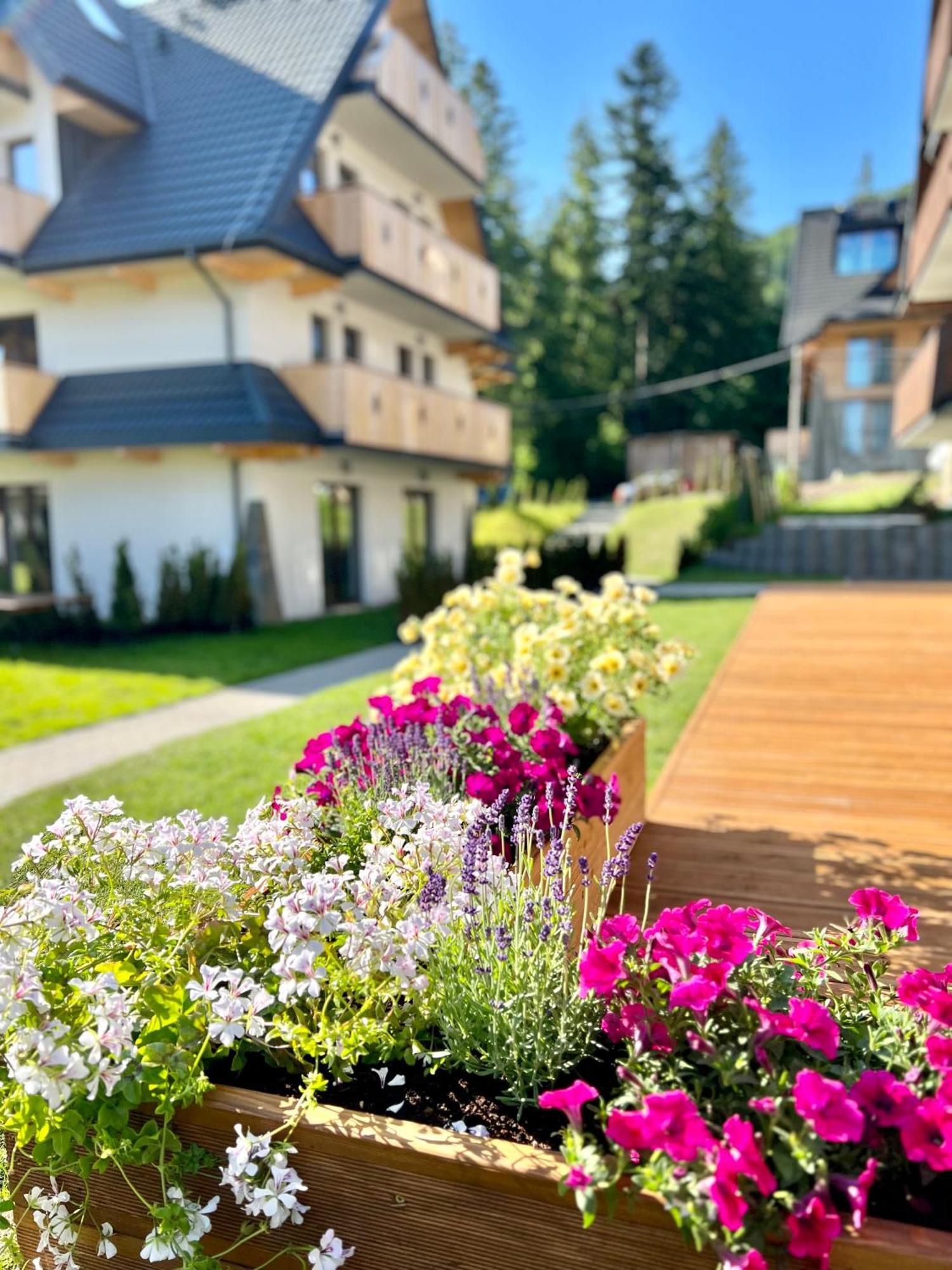 Hotel Nosal Ski & Wine Zakopane Exterior photo